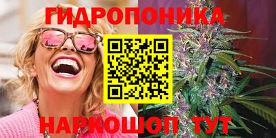 скорость Заводоуковск