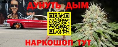 скорость Заводоуковск